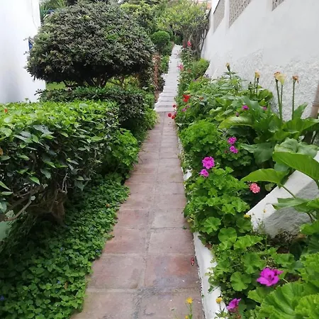 La Dorada アパート トレモリノス